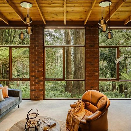 فيلا Modern Seednest Treehouse, Forest & Mountain View Sassafras المظهر الخارجي الصورة