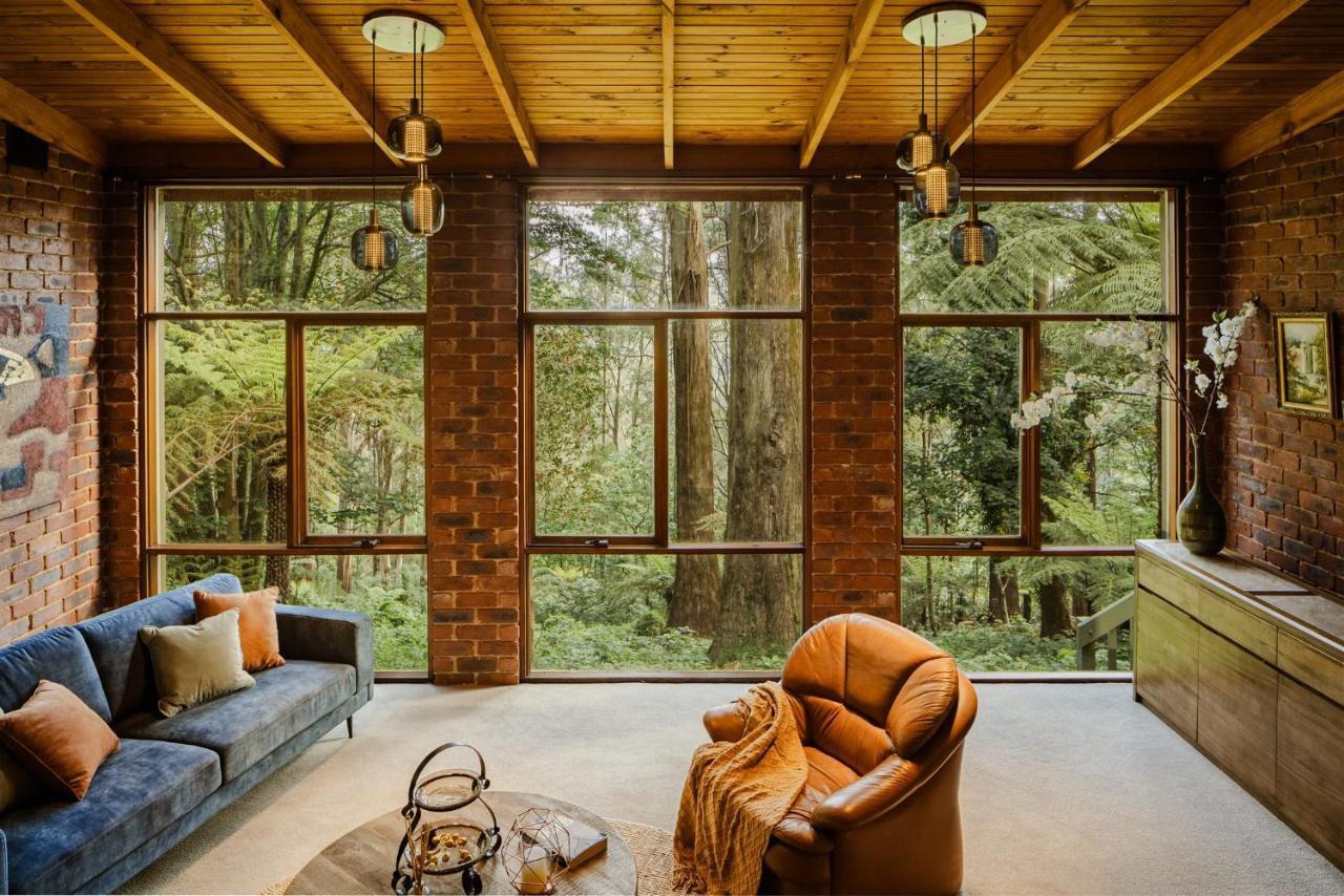 فيلا Modern Seednest Treehouse, Forest & Mountain View Sassafras المظهر الخارجي الصورة