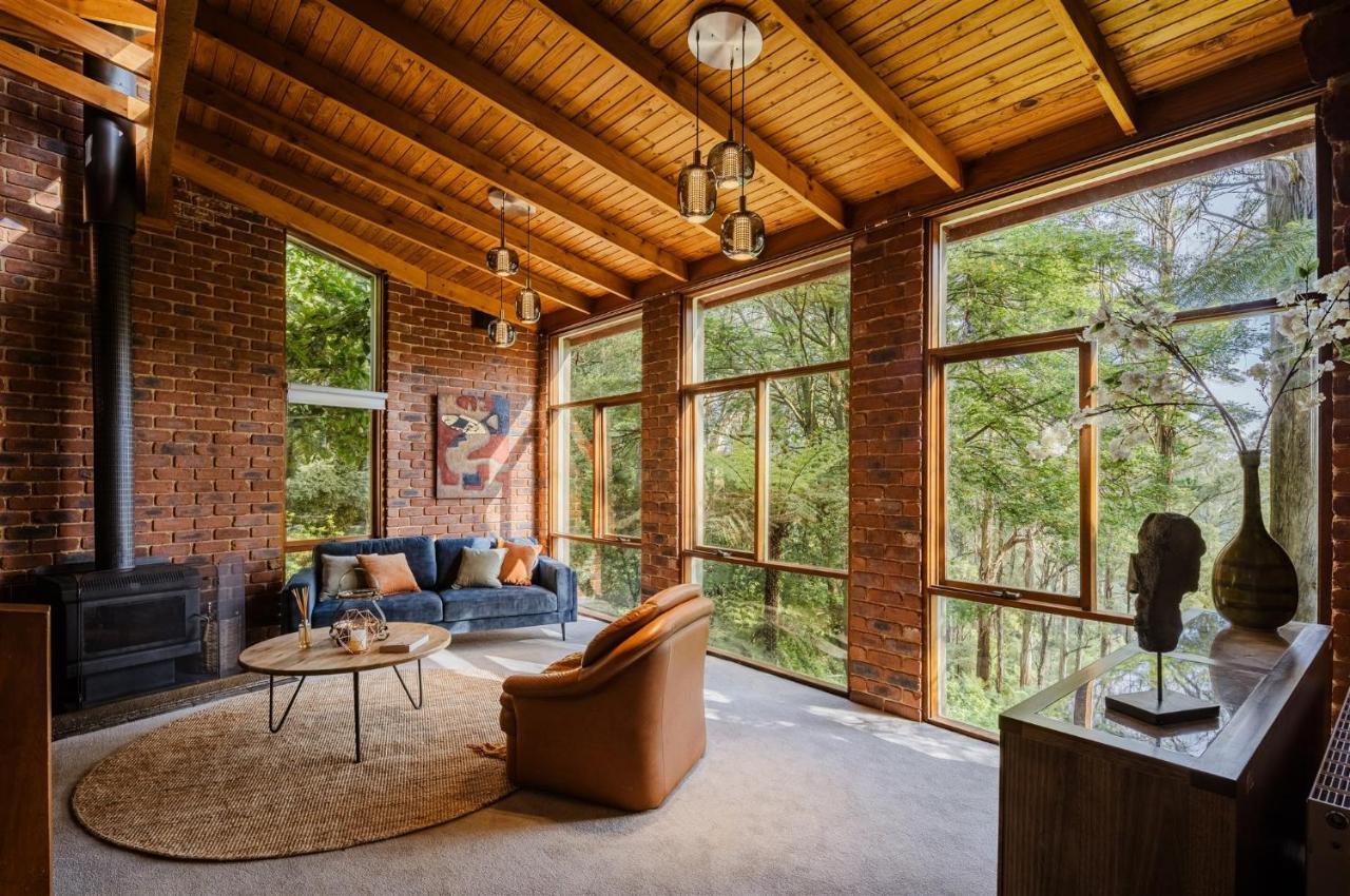 فيلا Modern Seednest Treehouse, Forest & Mountain View Sassafras المظهر الخارجي الصورة